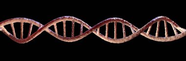 Siyah arka planda izole edilmiş DNA molekülü, çift sarmal, üç boyutlu illüstrasyon. Gen terapisi, genetik mutasyon ve genetik bozukluklar.