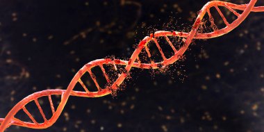 DNA (deoksiribonükleik asit) hasarı, 3 boyutlu illüstrasyon. Hastalık, genetik bozukluk veya genetik mühendislik kavramı
