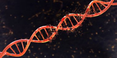 DNA (deoxyribonucleic acid) damage, 3D illustration. Concept of disease, genetic disorder or genetic engineering clipart