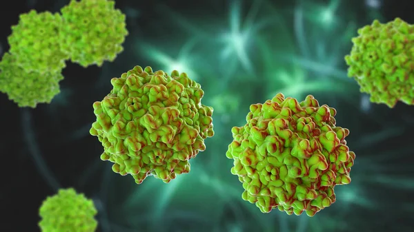Adeno bağlantılı virüsler, 3 boyutlu çizimler. İnsanları enfekte etmek için bilinen en küçük virüsler, Parvoviridae ailesine aittir, gen terapisi ve izojenik insan hastalıkları modelleri için kullanılır.
