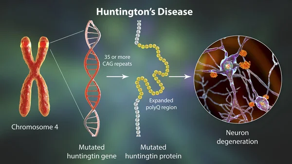 Molecular Asal Muasal Penyakit Huntington Ilustrasi Ekspansi Urutan Trinukleotida Cag — Stok Foto
