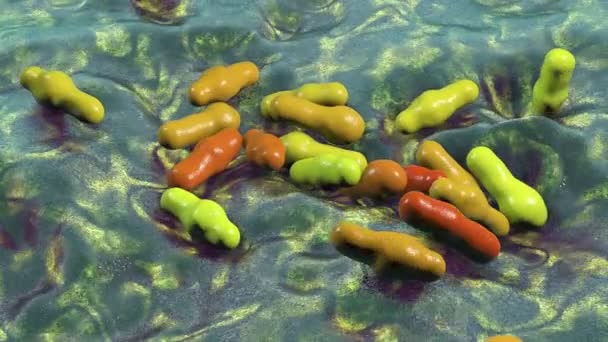 포자를 형성하는 박테리아 Clostridium 파상풍 보툴리누스 괴저와 대장염 애니메이션의 원인이 — 비디오