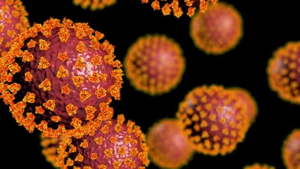 Sars Cov Virussen Het Coronavirus Dat Covid Veroorzaakt Animatie — Stockvideo