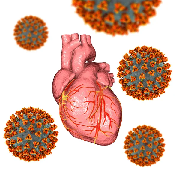 Virus Covid Que Afectan Corazón Ilustración Conceptual Complicaciones Cardíacas Asociadas —  Fotos de Stock