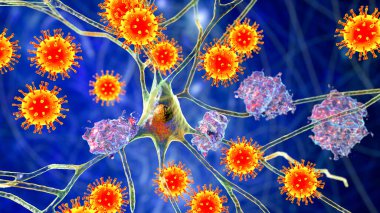 Bunamanın bulaşıcı etiyolojisi. Covid-19 'un nöropsikiyatrik ardılı. Nöronları enfekte eden virüsler ve beyin fonksiyonlarında ilerleyen bozukluklar, beyin dokularındaki amiloid plaklar. 3B illüstrasyon