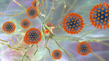 Koronavirüsler ve nöronlar, kavramsal üç boyutlu illüstrasyon. Koku ve tat bozuklukları. COVID-19 'un nörolojik ve nöropsikiyatrik komplikasyonları. COVID-19 ilişkili nörolojik komplikasyonlar.