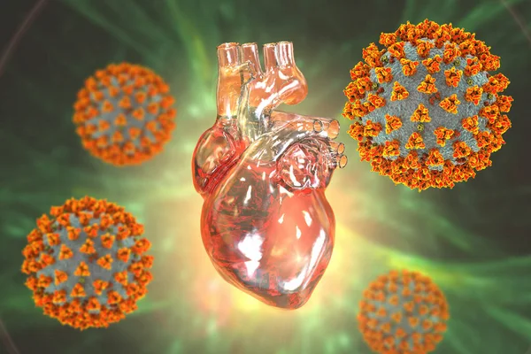 COVID-19 viruses affecting the heart, conceptual 3D illustration. Heart complications associated with COVID-19 coronavirus disease. The negative effect of SARS-CoV-2 virus on the human heart.