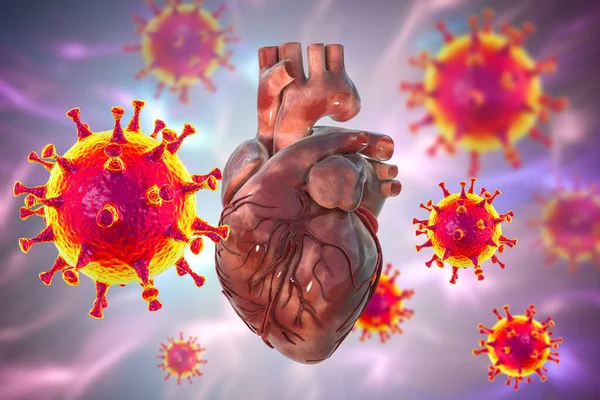 COVID-19 viruses affecting the heart, conceptual 3D illustration. Heart complications associated with COVID-19 coronavirus disease. The negative effect of SARS-CoV-2 virus on the human heart.