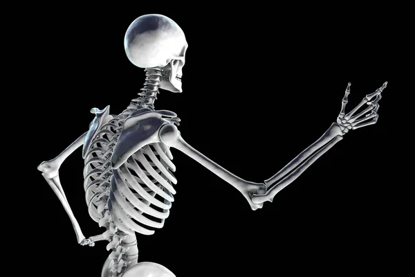 Menselijk Skelet Een Luidsprekerpose Achteraanzicht Conceptuele Illustratie Anatomie Geneeskunde Wetenschap — Stockfoto