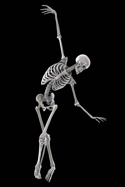 Anatomie Des Tanzes Und Balletts Illustration Die Die Skelettaktivität Balletttanz — Stockfoto
