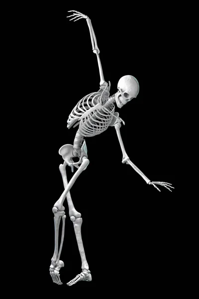 Skeleton ballet Pictures, Skeleton ballet Stock Photos & Images |