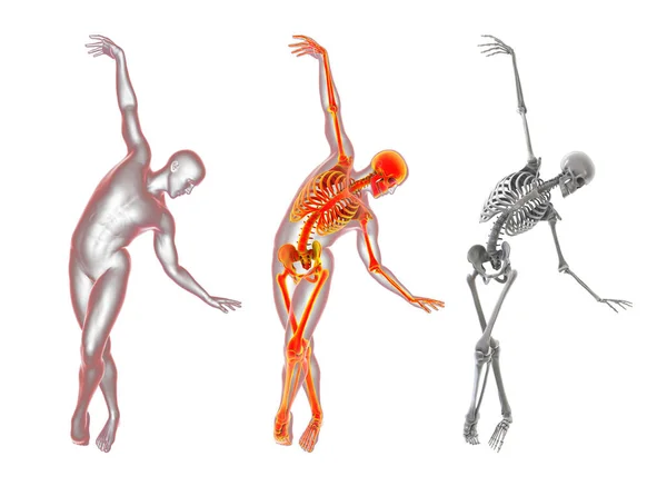 Анатомия Танца Балета Иллюстрация Мужчина Балетной Позе Выделенным Скелетом Изолированным — стоковое фото