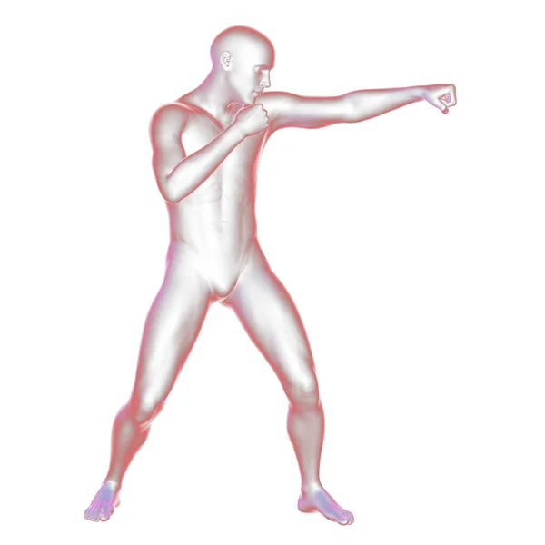 Anatomia Sportu Bokserskiego Ilustracja Ludzkie Męskie Ciało Pozycji Boksu — Zdjęcie stockowe