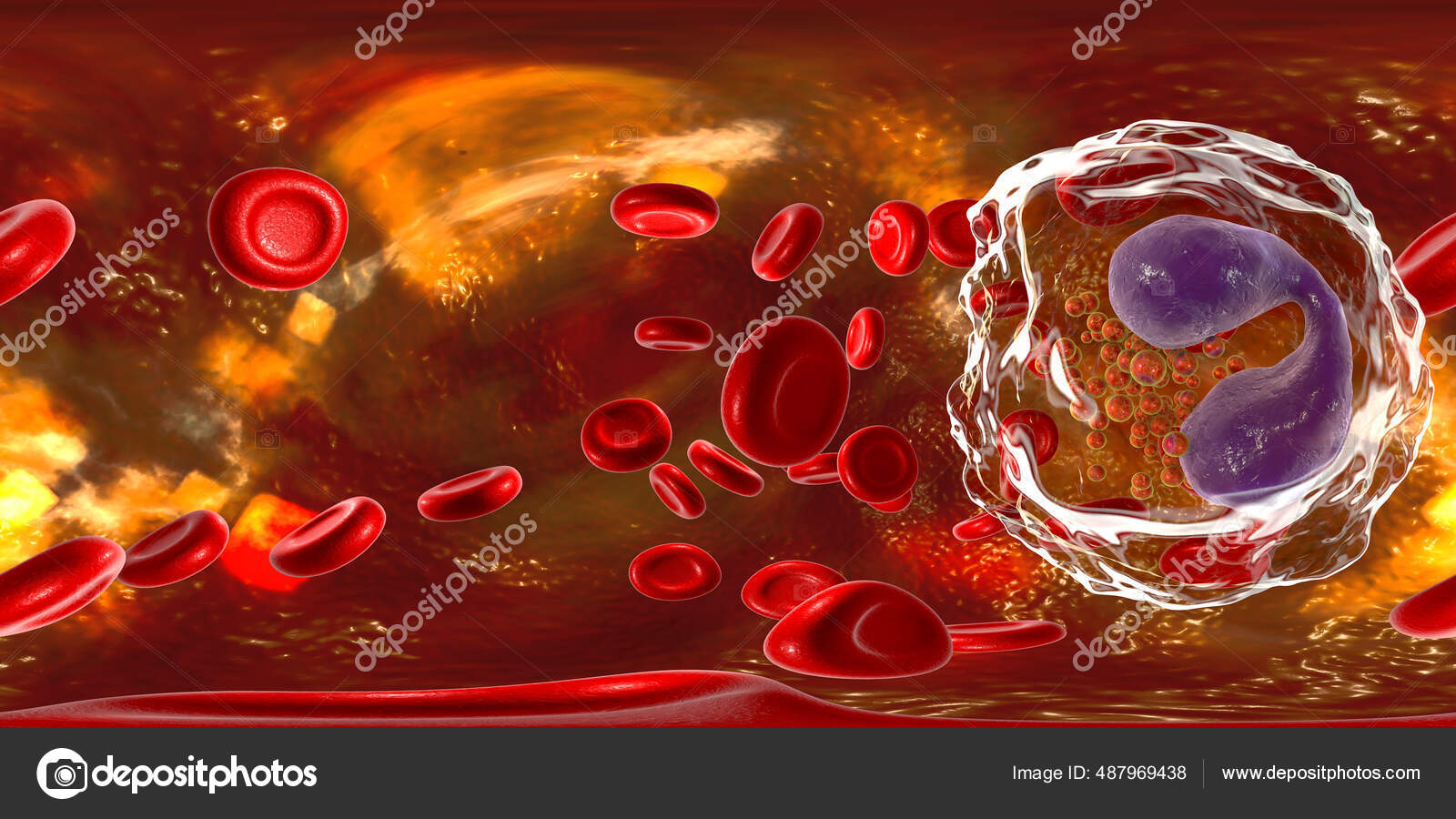 360 Graders Sfærisk Panorama Eosinofili Hvit Blodcelle Blod Illustrasjon  Eosinofile – stockfoto © katerynakon #487969438, image size:1600x900