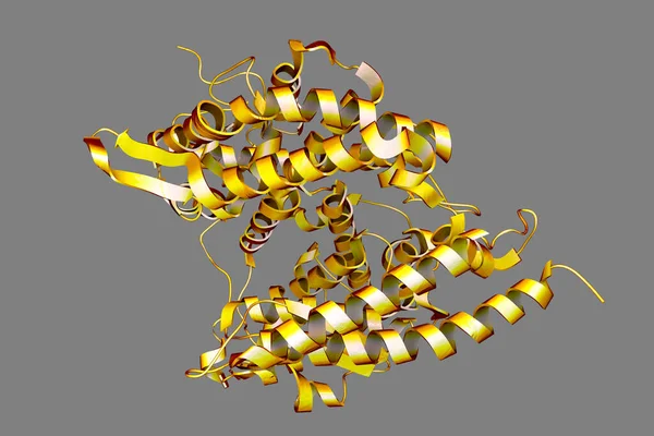ヒトAce2受容体 3Dイラスト アンジオテンシン変換酵素関連カルボキシペプチド Sars Cov 2ウイルスによってヒト細胞に侵入する膜タンパク質 — ストック写真