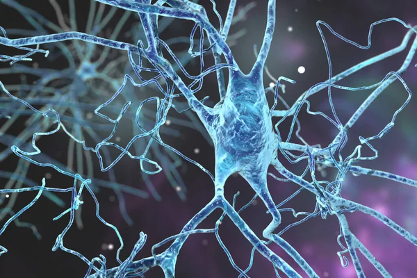 Neurones Cérébraux Cellules Cérébrales Humaines Illustration Système Nerveux Humain — Photo