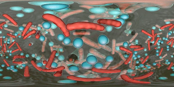 360 Graders Sfäriskt Panorama Bakteriell Biofilm Blandning Bakterier Olika Typer — Stockfoto