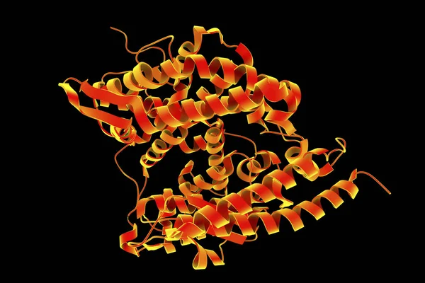 ヒトAce2受容体 3Dイラスト アンジオテンシン変換酵素関連カルボキシペプチド Sars Cov 2ウイルスによってヒト細胞に侵入する膜タンパク質 — ストック写真