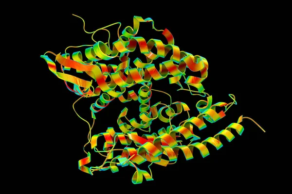 Ludzki Receptor Ace2 Ilustracja Angiotensyna Konwertująca Karboksypeptydazę Związaną Enzymem Białko — Zdjęcie stockowe