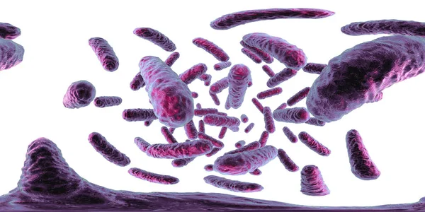 360 Graden Bolvormig Panorama Van Staafvormige Bacteriën Illustratie Bacteriën Van — Stockfoto