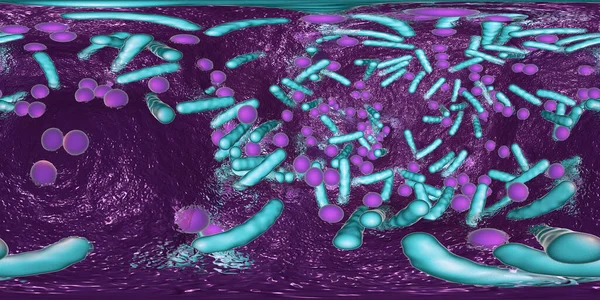 360度的细菌生物膜球面全景 不同类型和形状的细菌的混合 3D图解 — 图库照片