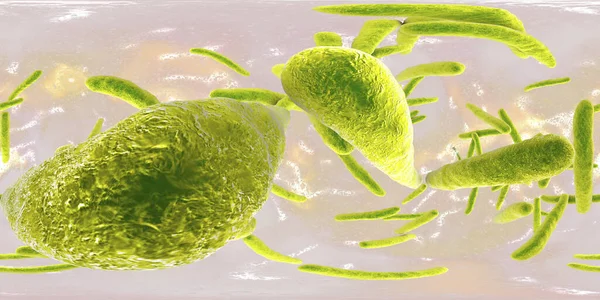 360 Градусная Сферическая Панорама Бактерий Mycobacterium Tuberculosis Других Микобактерий Иллюстрация — стоковое фото