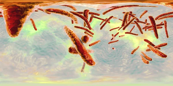 360 Graders Sfäriskt Panorama Bakterier Mykobakterium Tuberkulos Och Andra Mykobakterier — Stockfoto