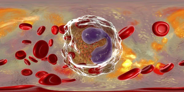 血液中の白血球である好酸球の360度球面パノラマ 3Dイラスト 好酸球は アレルギーや喘息に関与する顆粒球であり 多細胞寄生虫に対する保護 — ストック写真