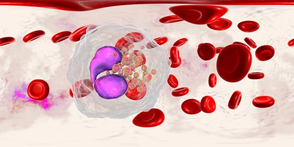 360 Degree Spherical Panorama Eosinophil White Blood Cell Blood Illustration — Stock Photo, Image
