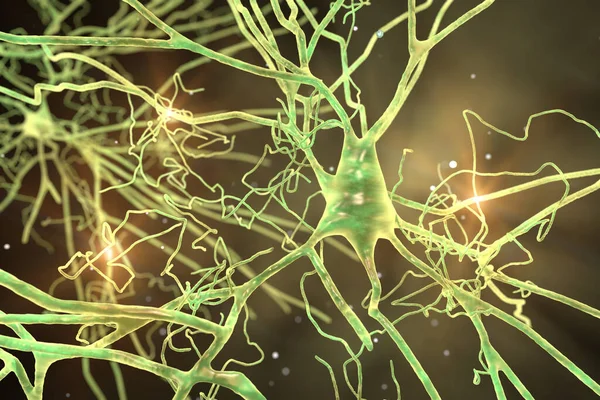 Neurones Cérébraux Cellules Cérébrales Humaines Illustration Système Nerveux Humain — Photo
