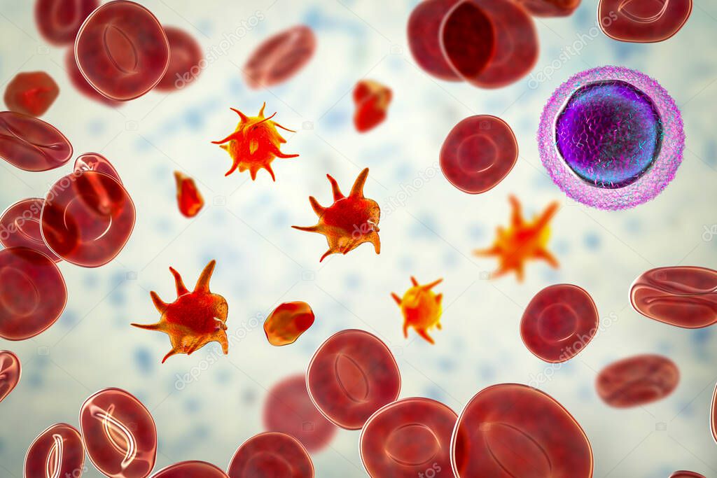 Platelets in blood smear, 3D illustration. Activated and non-activated platelets, red blood cells and lymphocyte in blood