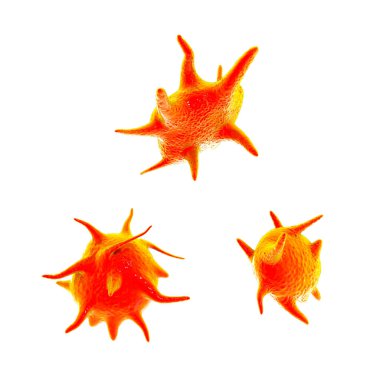 Aktif trombosit, trombosit olarak da bilinir. Yaraların iyileşip kapanmasından sorumlu kan hücreleri.