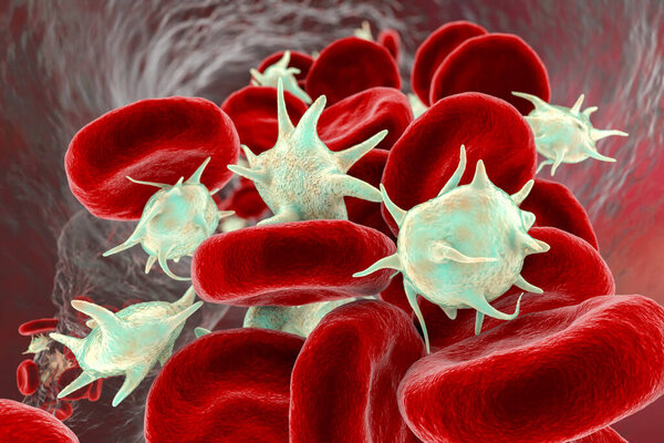 Activated platelets in blood flow and red blood cells, 3D illustration