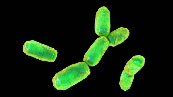 Methanobrevibacter Smithii Microorganisms Illustration Predominant Archaeon Microbiota Human Intestine Methanogen — Stock Photo, Image