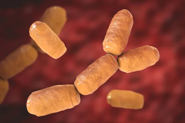 Microorganismes Methanobrevibacter Smithii Illustration Archéon Prédominant Dans Microbiote Intestin Humain — Photo