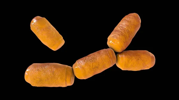 人類の腸の微生物叢の主要な考古学者であるメタノリビバクター スミシイ微生物 3Dイラストは 多糖類の消化に役割を果たしています — ストック写真