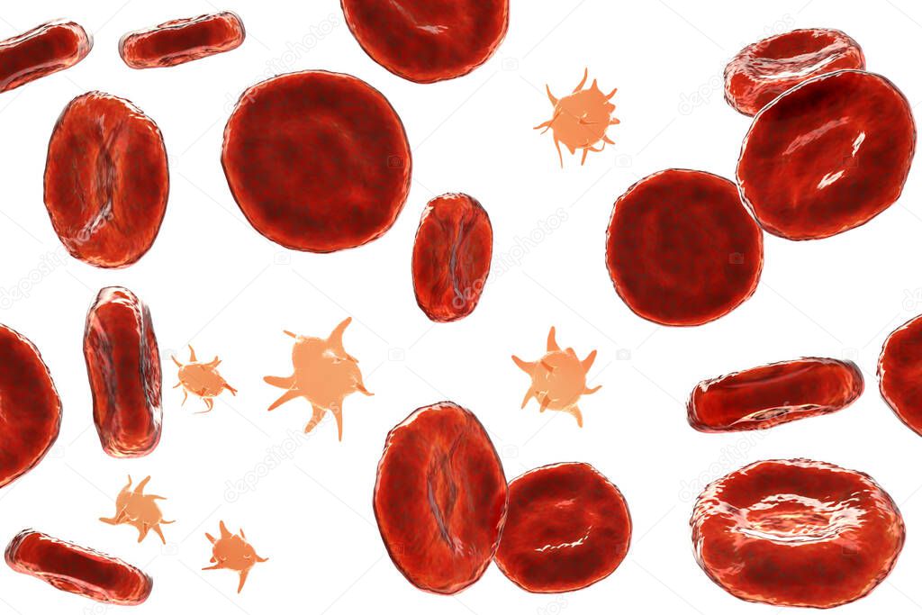 Activated platelets in blood smear and red blood cells, 3D illustration