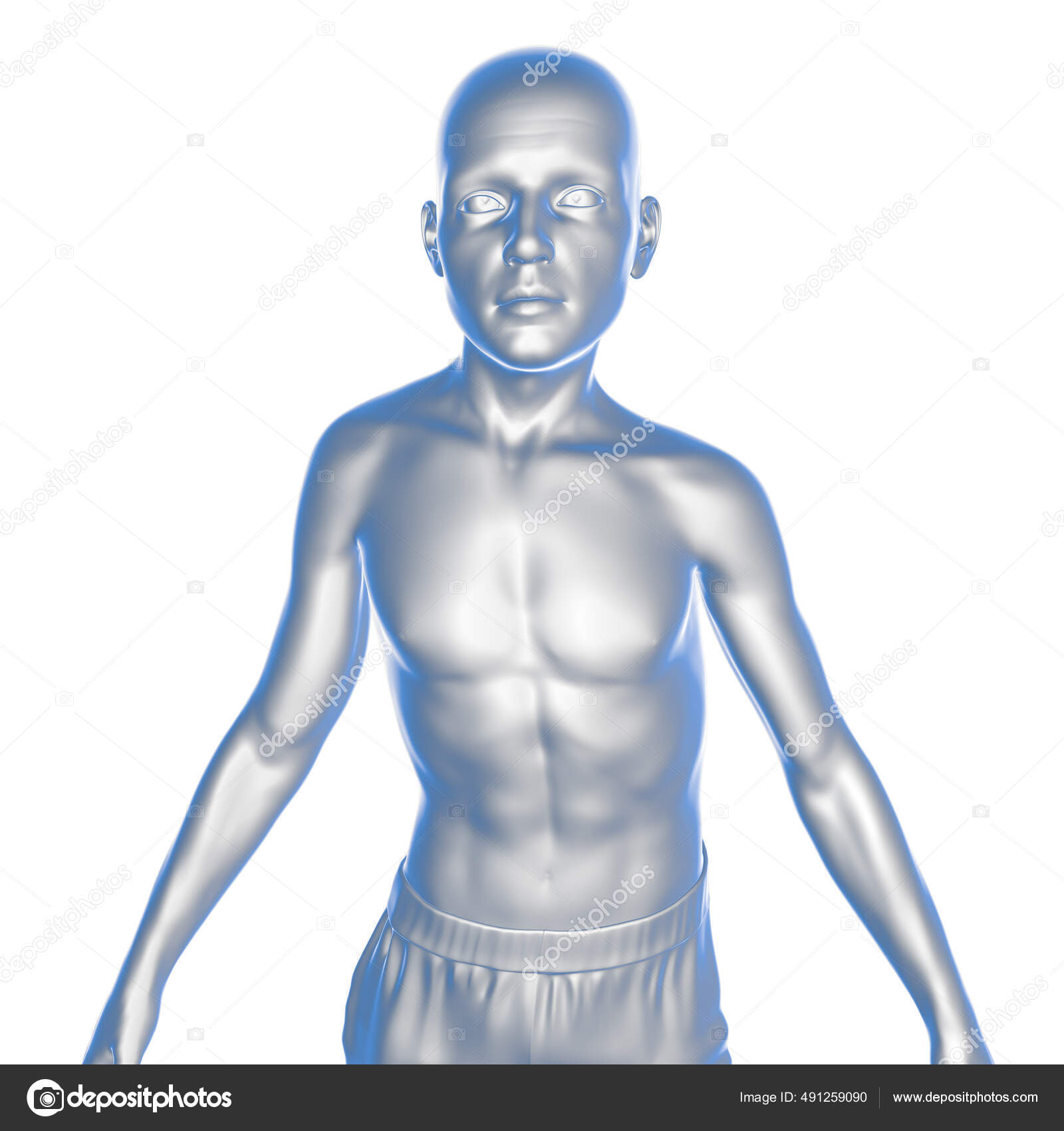 Scoliosis Illustration Human Body Curved Spine Uneven Shoulders Hips