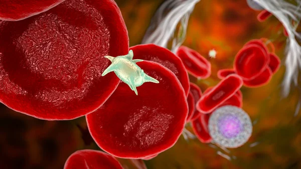 Plaquetas Activadas Flujo Sanguíneo Glóbulos Rojos Ilustración — Foto de Stock