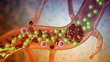 COVID-19 virüs parçacıkları ve kan dolaşımındaki aktif trombositler pıhtı oluşumuna, kavramsal 3D illüstrasyonuna katılıyorlar. Covid-19 hastalığı ve aşı komplikasyonları, trombolizm, tromboembolizm
