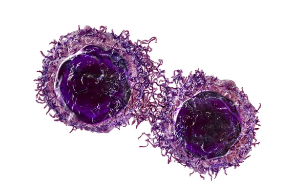 Ráksejtek Rosszindulatú Sejtek Tudományos Illusztráció — Stock Fotó