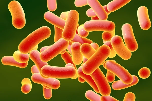 Digital illustration of bacteria — Stock Photo, Image