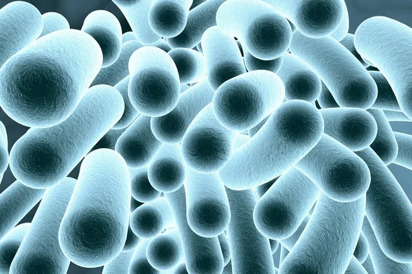 Digital illustration of bacteria — Stock Photo, Image