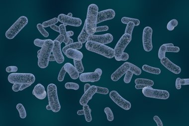 Bacteria on colorful background