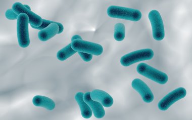 Bacteria on colorful background