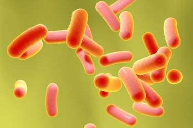 Bacteria on colorful background