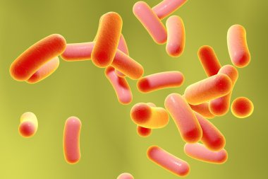 Bacteria on colorful background clipart