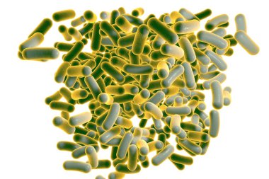 Bacteria clipart