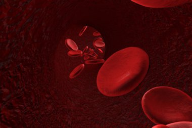 Blood vessel with red blood cells