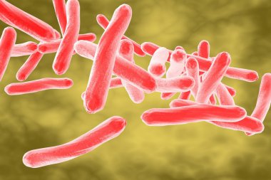 Mycobacterium tüberküloz